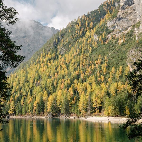 Serene natural landscape with a calm lake and mountains.